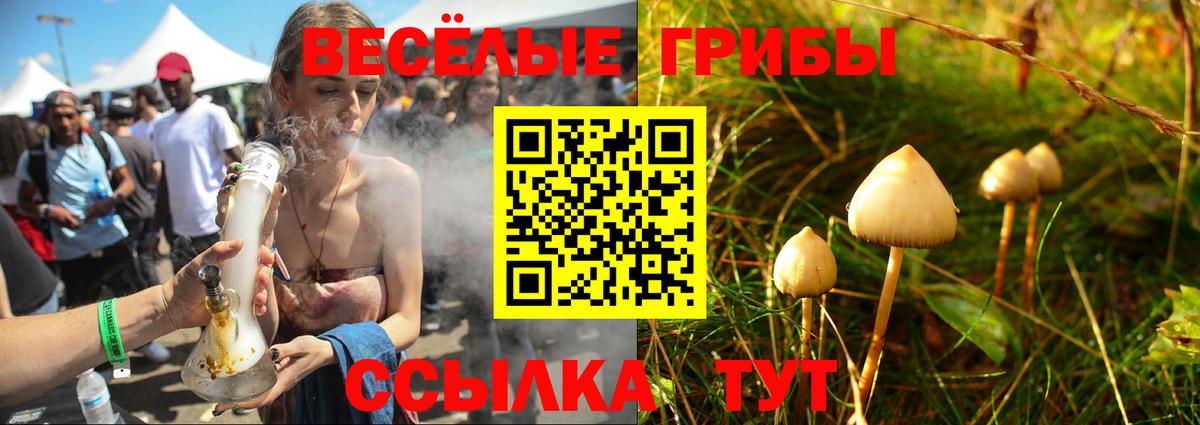 Ставрополь  Псилоцибиновые грибы Cubensis  Галлюциногенные грибы прущие грибы  Вход с VPN 